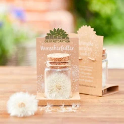 Die Stadtgärtner - Großer Wunscherfüller - Pusteblume 6 Die Stadtgärtner - Großer Wunscherfüller - Pusteblume – Bild 4