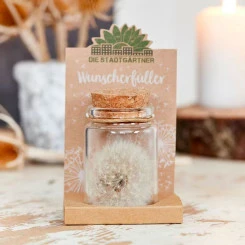 Die Stadtgärtner - Großer Wunscherfüller - Pusteblume 7 Die Stadtgärtner - Großer Wunscherfüller - Pusteblume – Bild 5