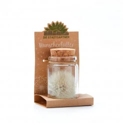 Die Stadtgärtner - Großer Wunscherfüller - Pusteblume 5 Die Stadtgärtner - Großer Wunscherfüller - Pusteblume – Bild 3