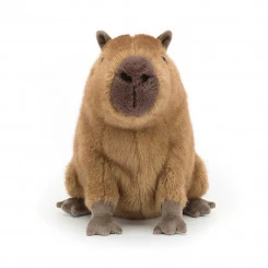 Jellycat - Clyde Capybara 5 Jellycat - Clyde Capybara – Bild 3